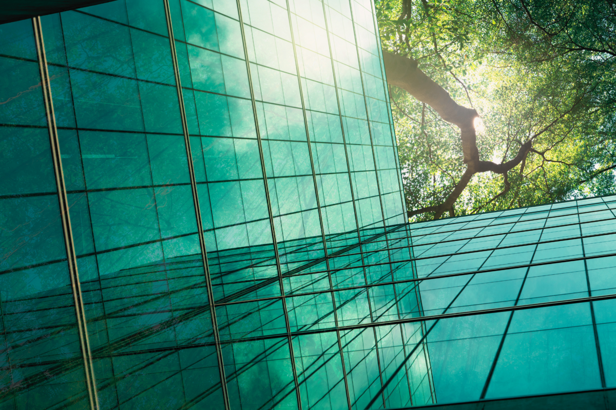 Sustainability 2025